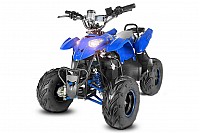 Electric Quads Razer 800W 36V L KIDS ELECTRIC QUAD BIKE